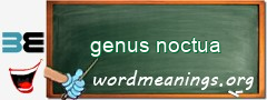 WordMeaning blackboard for genus noctua
